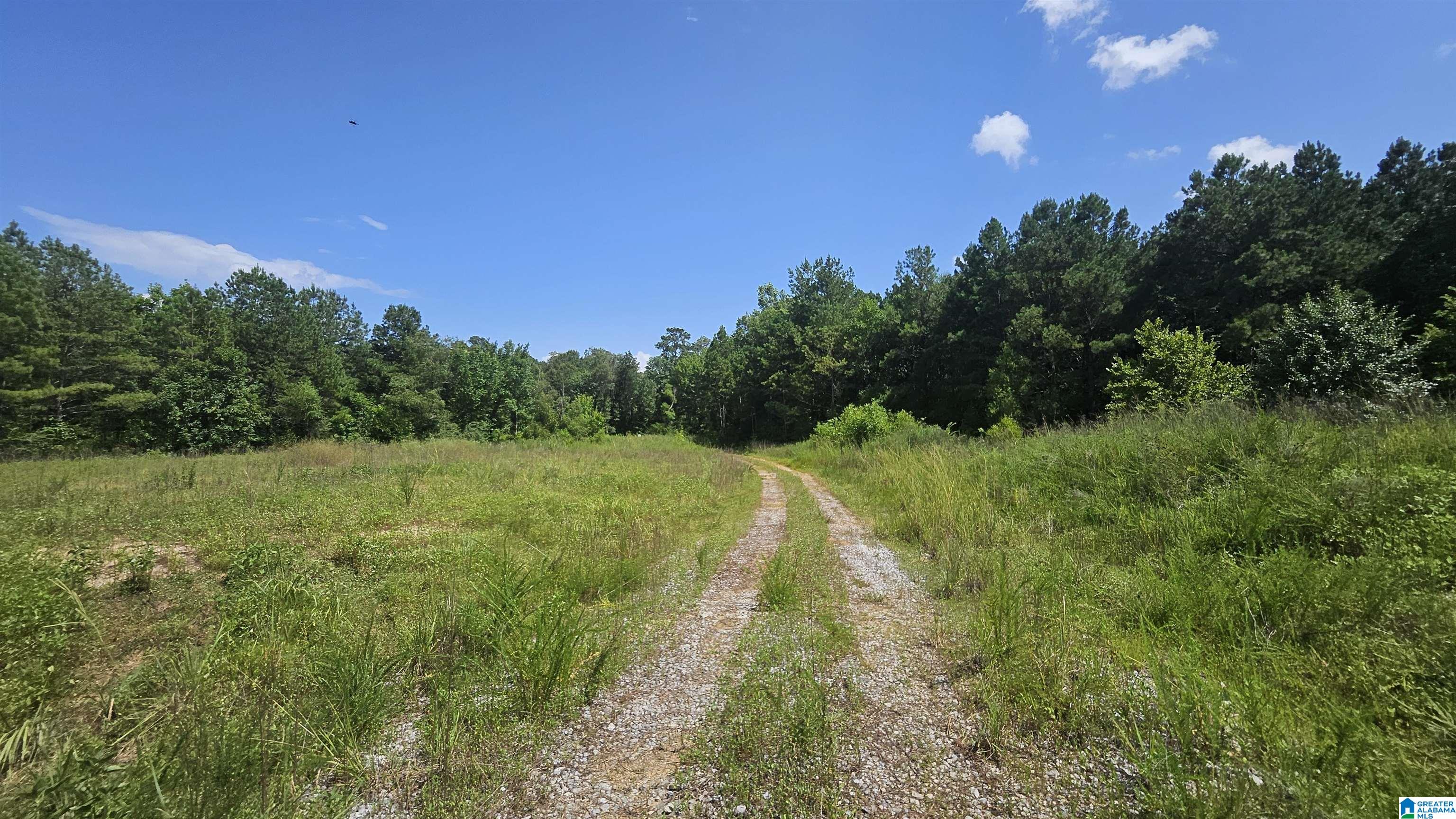 8183 Hopewell Road Bessemer, AL 35022 - Photo 6 of 7