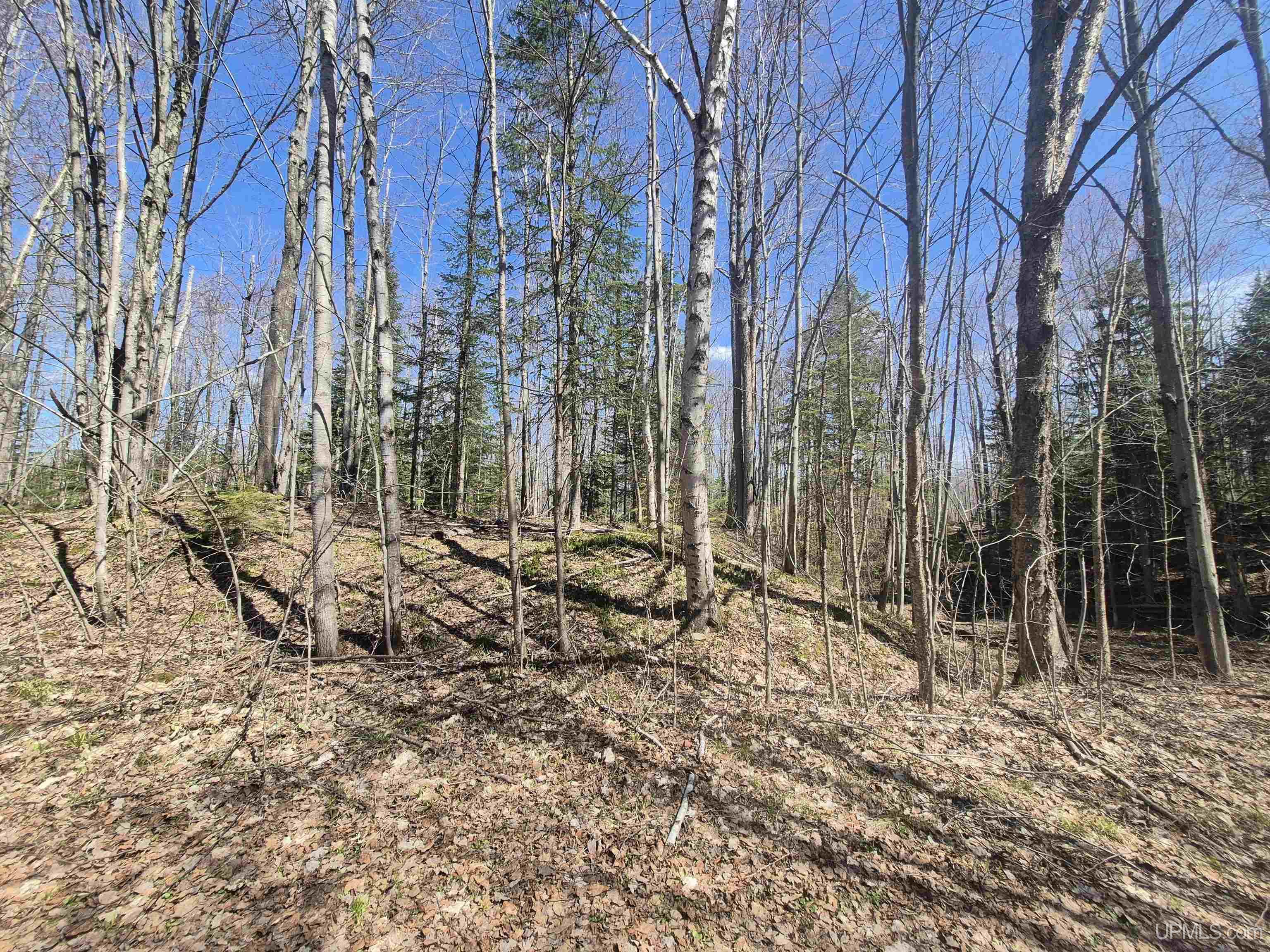 12-acres Salmon Road L'Anse, MI 49946 - Photo 15 of 39