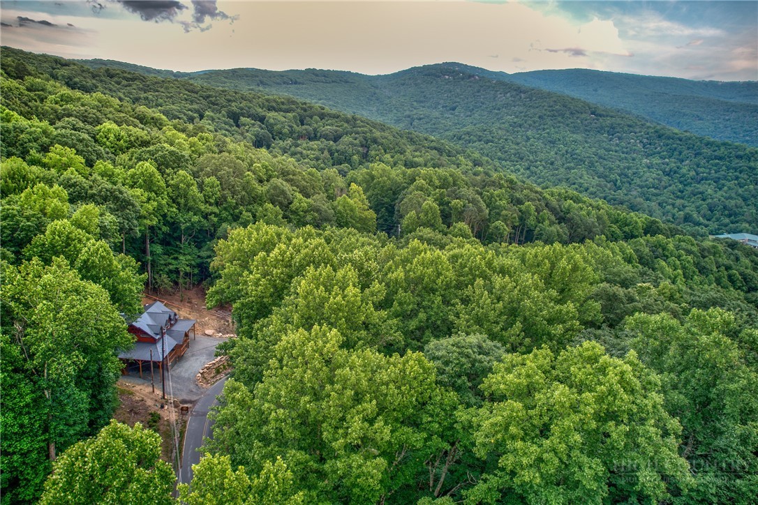 1015 Pine Ridge Road Beech Mountain, NC 28604 - Photo 41 of 41