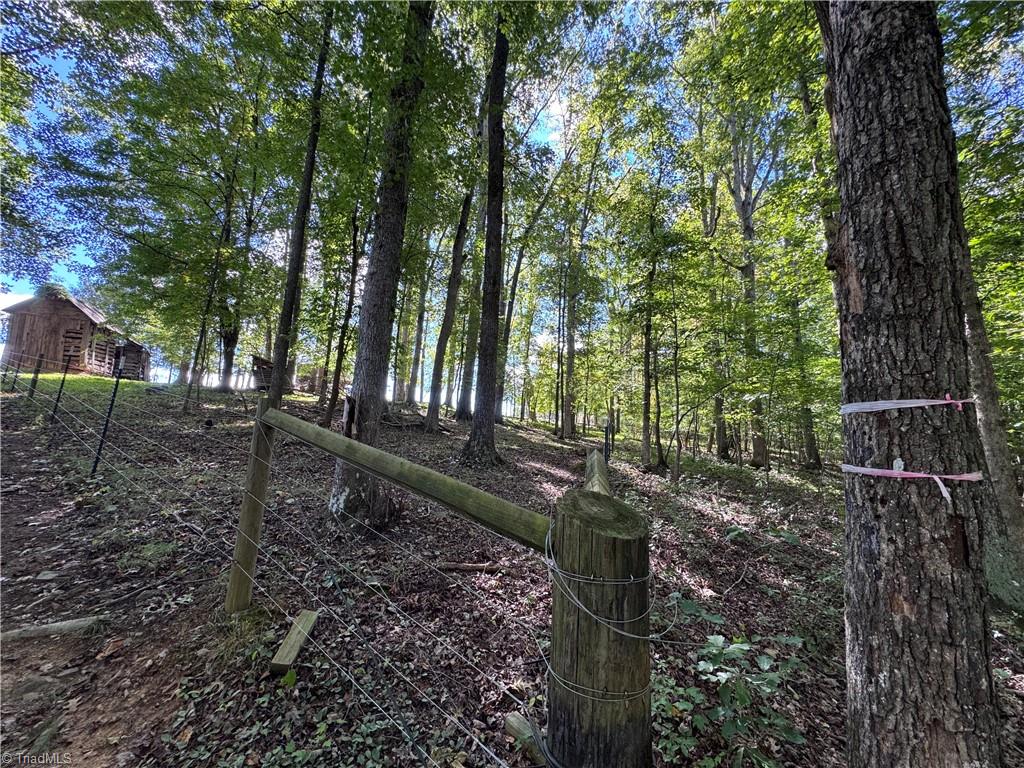 503 Sam Fulk Road Pilot Mountain, NC 27041 - Photo 38 of 50 Gallery Image 38