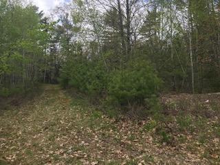 108 Main Road Westport Island, ME 04578 - Photo 16 of 16 IMG_8637
