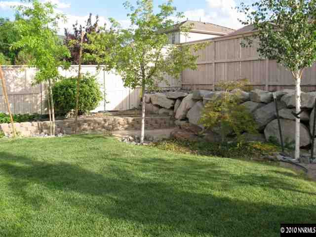 10612 Fire Poppy Circle Reno, NV 89521 - Photo 9 of 9 a backyard of a house with lots of green space