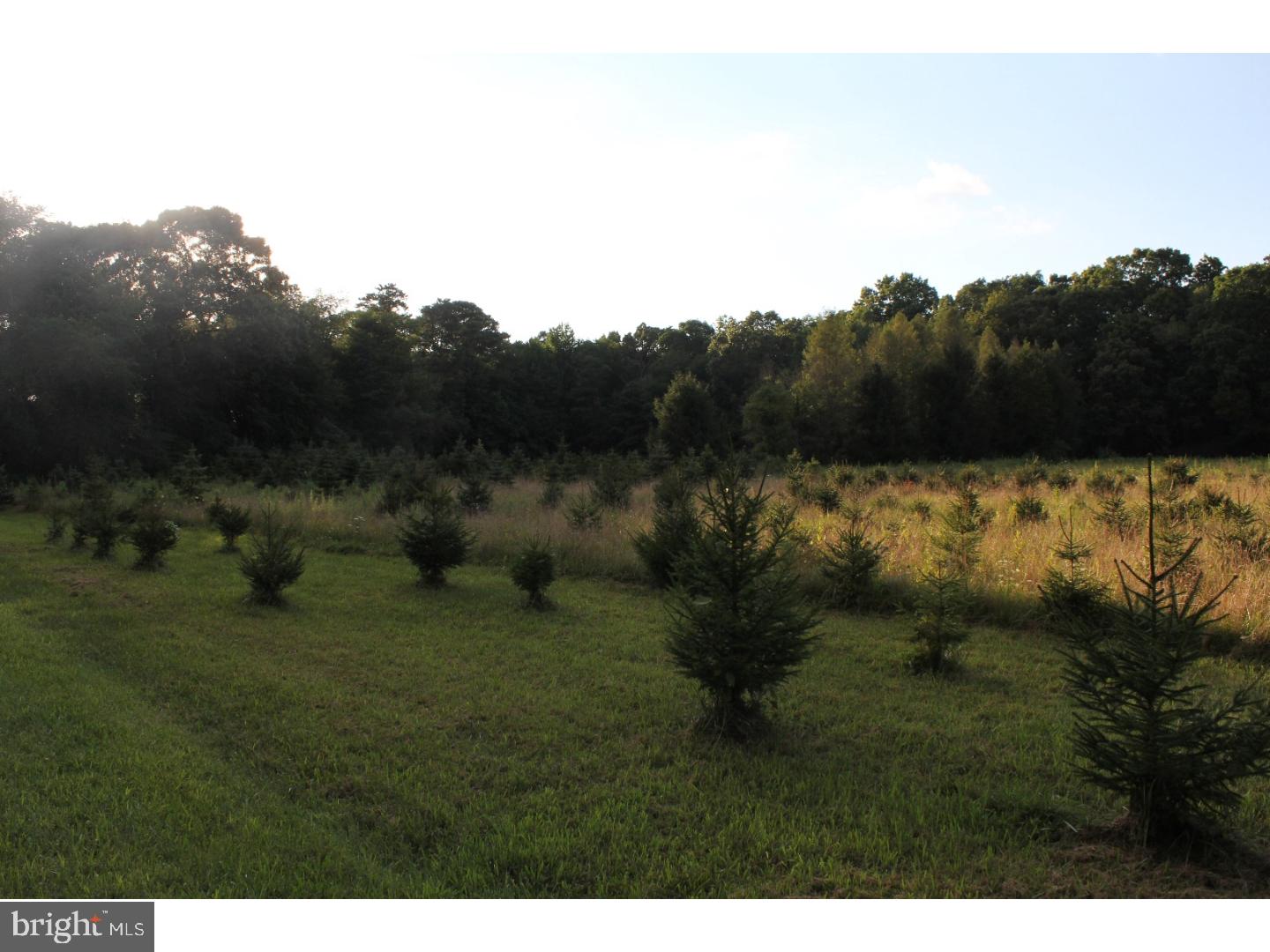 340 Upper Neck Road Pittsgrove, NJ 08318 - Photo 23 of 25 Gallery Image 23