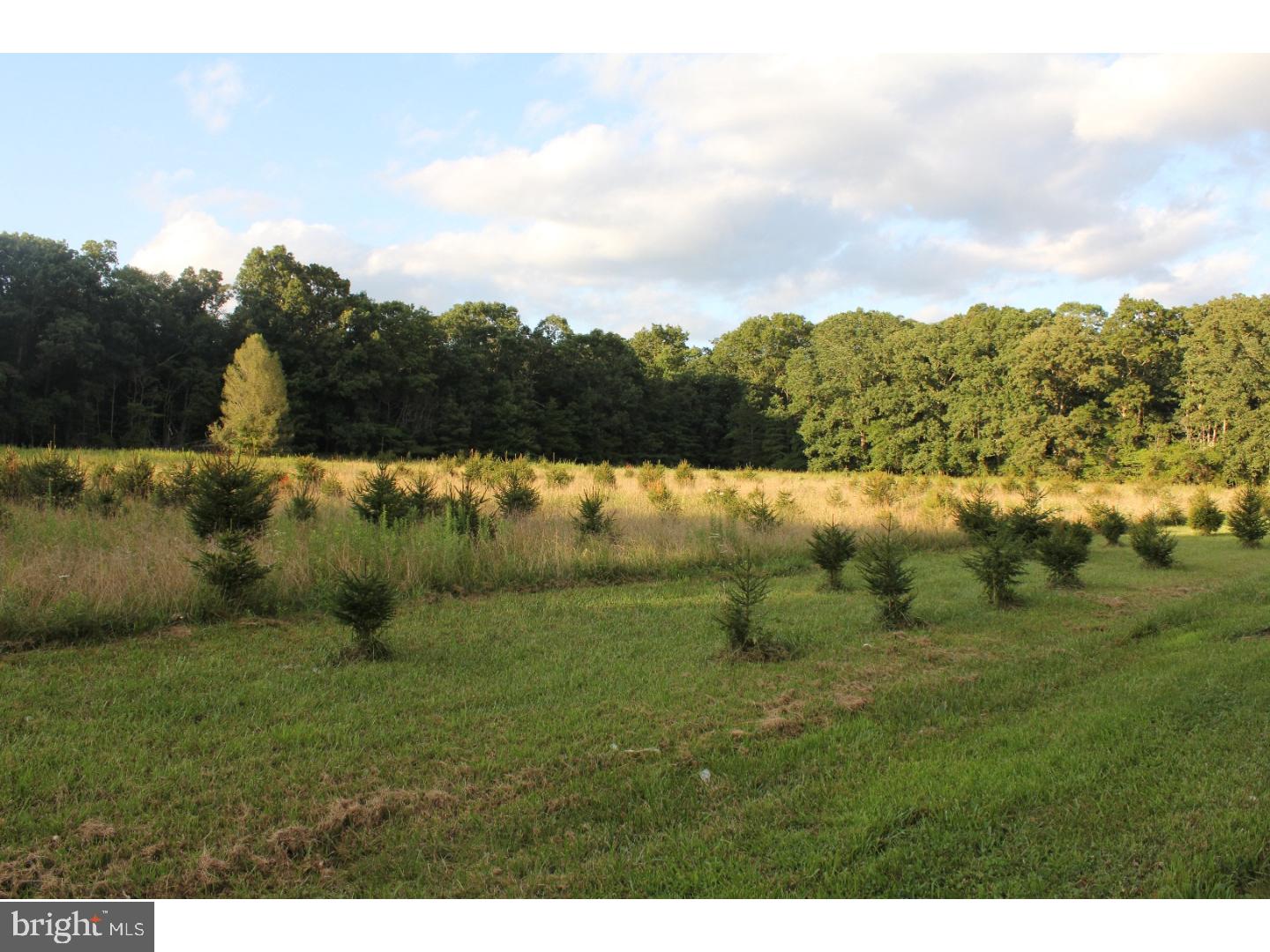 340 Upper Neck Road Pittsgrove, NJ 08318 - Photo 24 of 25 Gallery Image 24