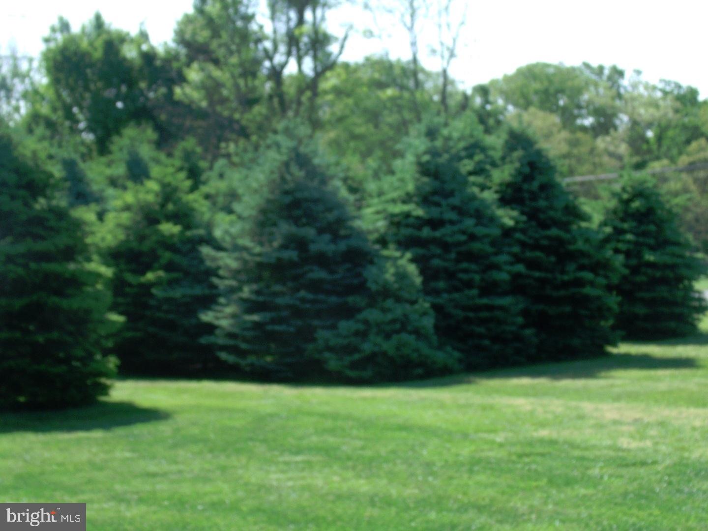 340 Upper Neck Road Pittsgrove, NJ 08318 - Photo 25 of 25 Gallery Image 25