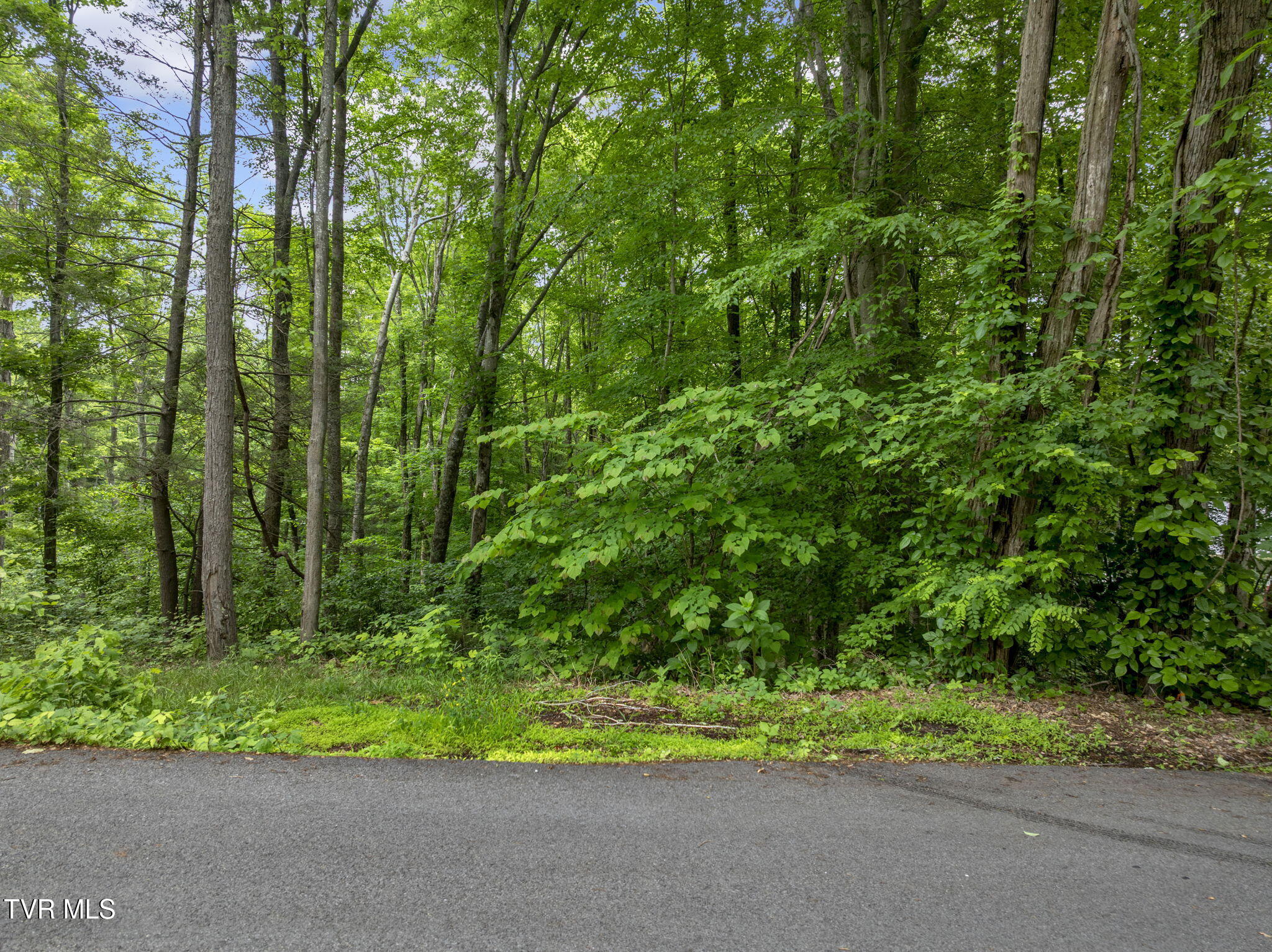 Tbd Water Tank Hill Road Johnson City, TN 37604 - Photo 6 of 17 14-web-or-mls-JH 20250515-040