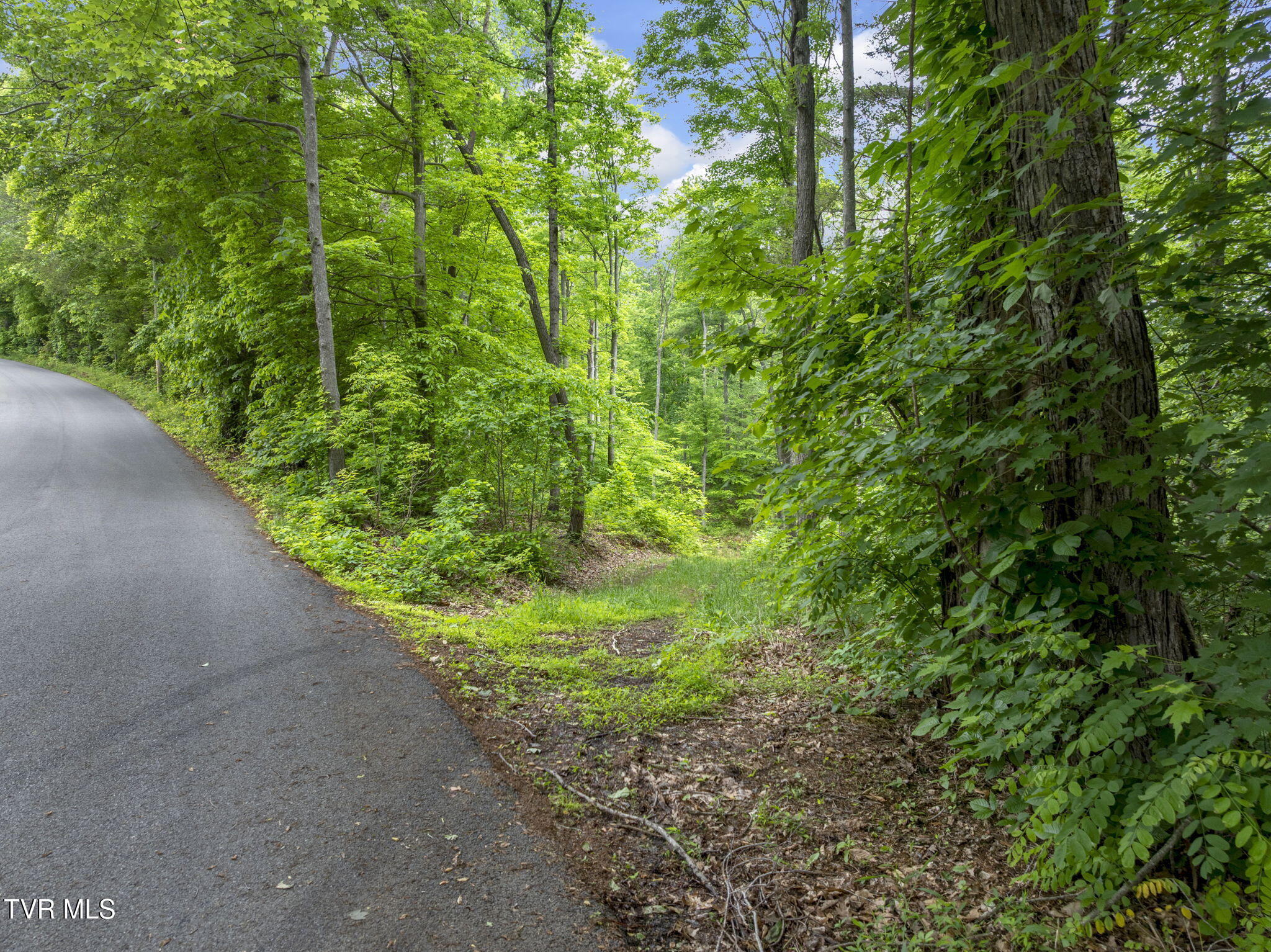 Tbd Water Tank Hill Road Johnson City, TN 37604 - Photo 7 of 17 13-web-or-mls-JH 20250515-037
