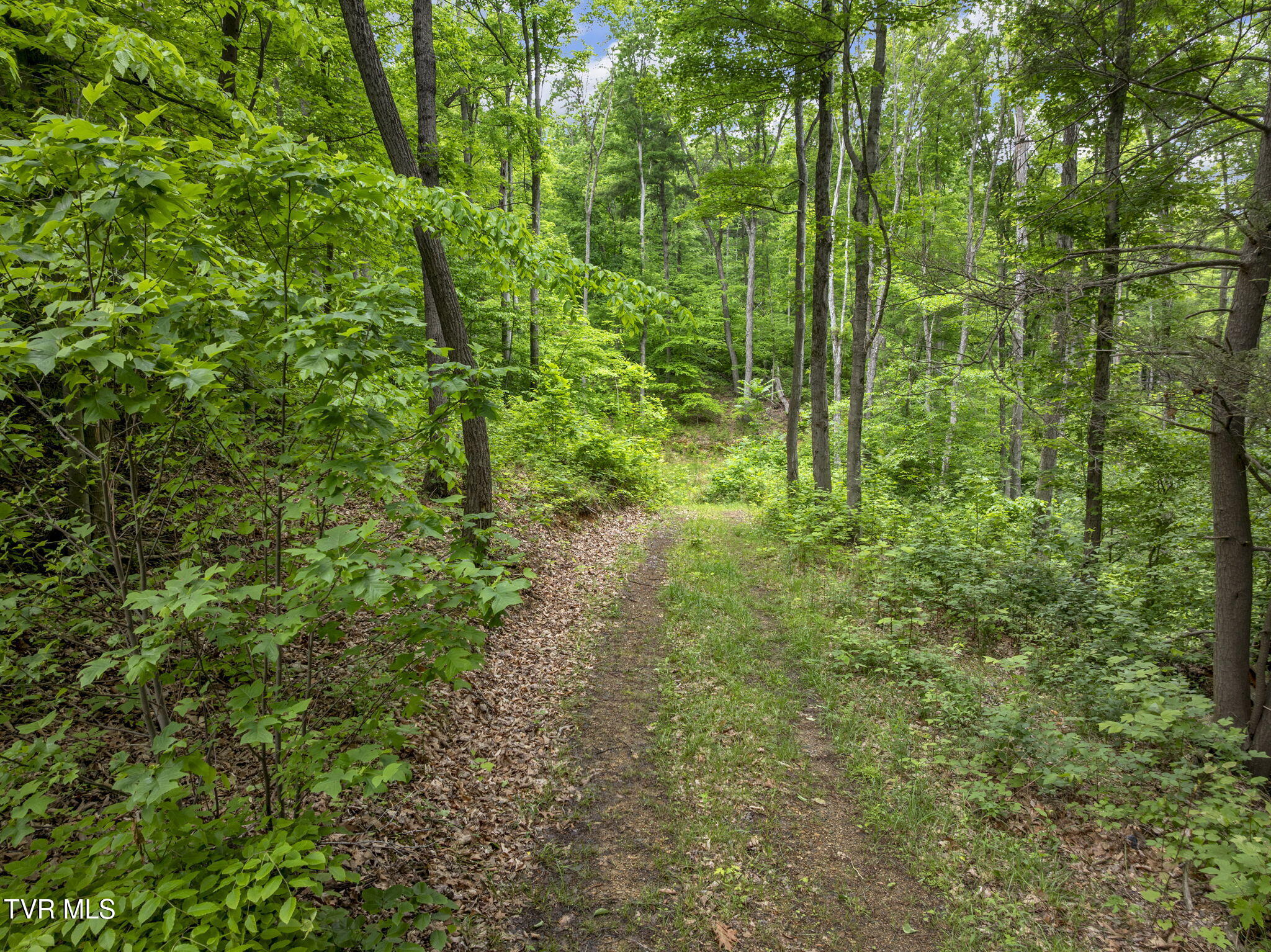 Tbd Water Tank Hill Road Johnson City, TN 37604 - Photo 9 of 17 10-web-or-mls-JH 20250515-028