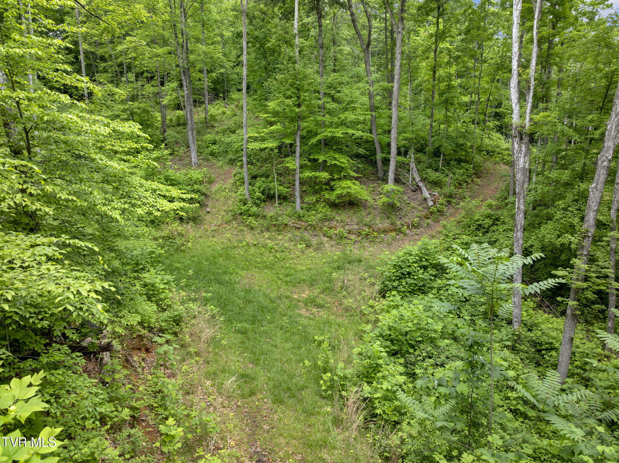 Tbd Water Tank Hill Road Johnson City, TN 37604 - Photo 10 of 17 11-web-or-mls-JH 20250515-031