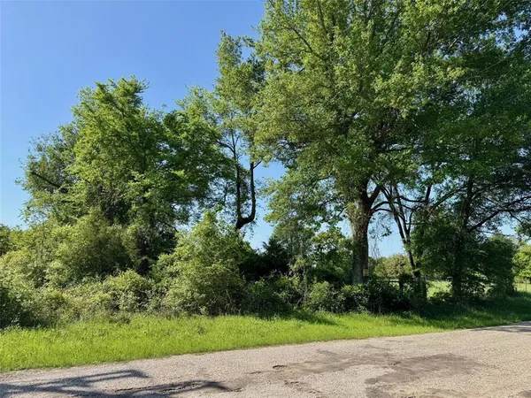a view of a rural road with plants