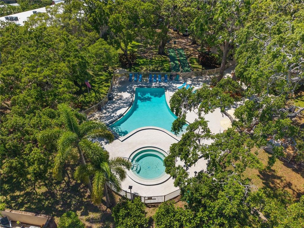 860 Virginia Street, Unit 211 Dunedin, FL 34698 - Photo 35 of 49