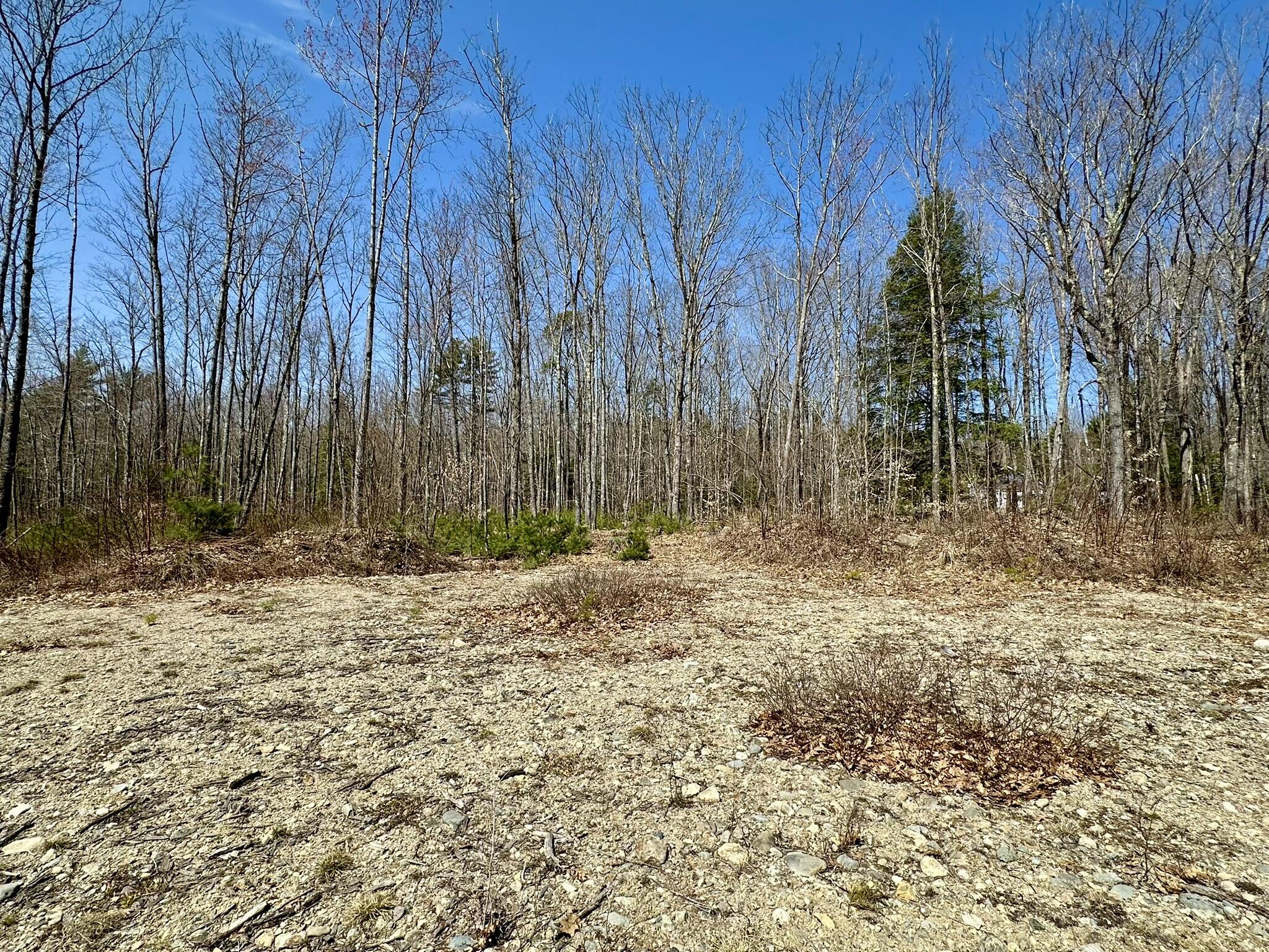 106 Abbott Road Acton, ME 04001 - Photo 7 of 14 Open area of the lot.