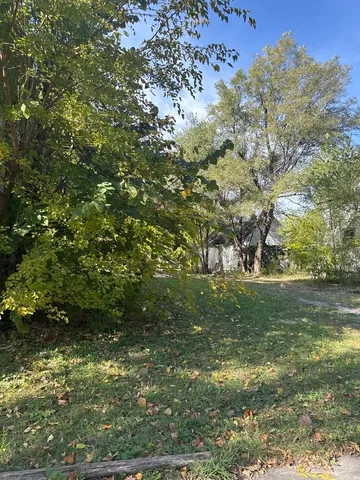 a view of a yard with a tree