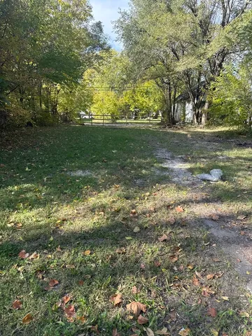 a view of a yard with a tree