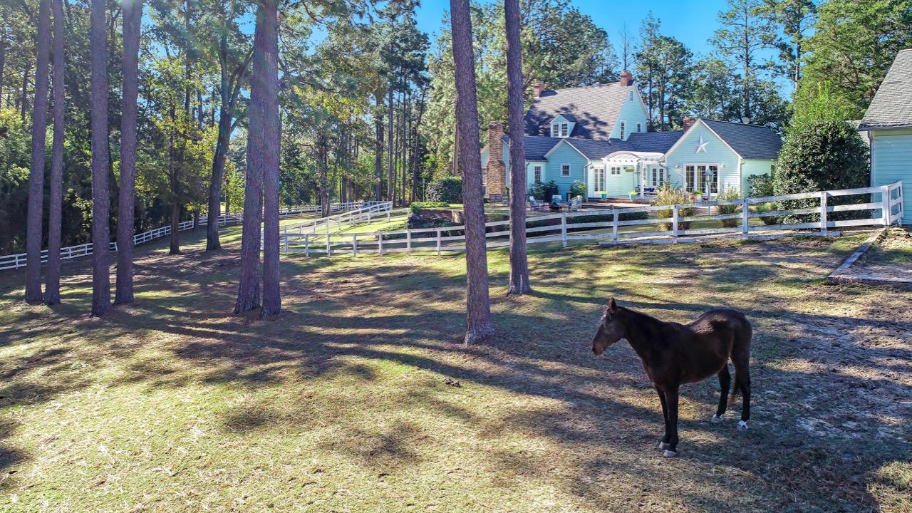 389 Old Mail Road Southern Pines, NC 28387 - Photo 41 of 54 Pastures