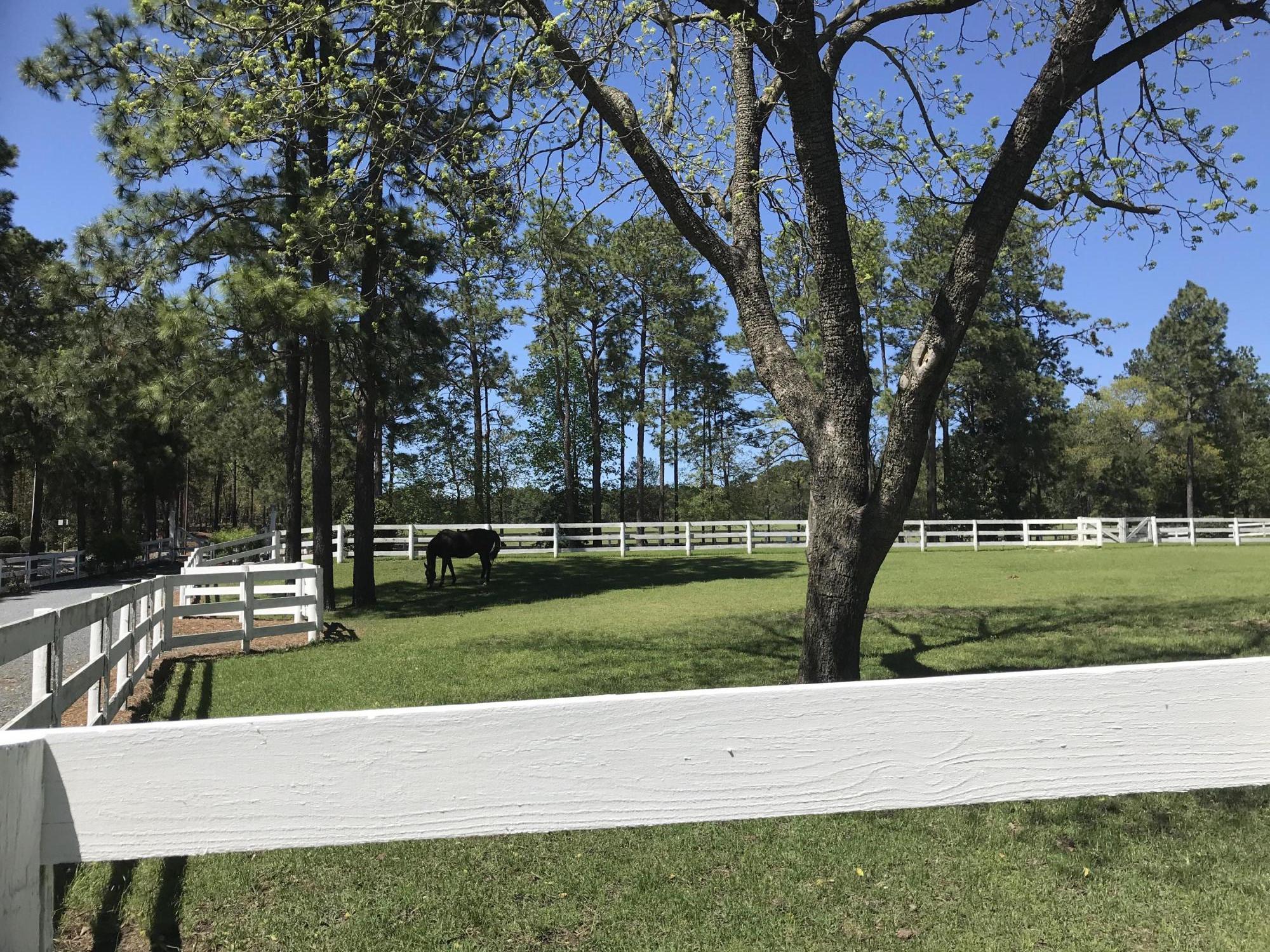 389 Old Mail Road Southern Pines, NC 28387 - Photo 44 of 54 Plenty of pasture for 4+ horses