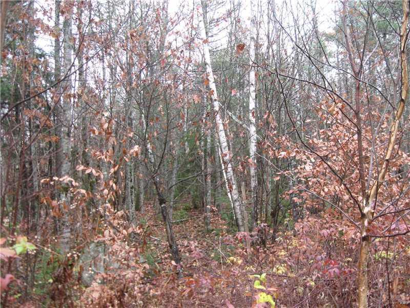 84-02 Old County Road Edgecomb, ME 04556 - Photo 2 of 5 Land/Lot.