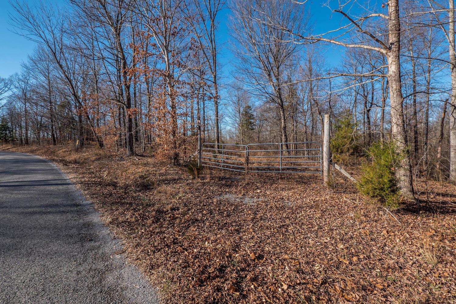 3862 Chestnut Ridge Road Santa Fe, TN 38482 - Photo 14 of 15 a backyard of a house with lots of green space