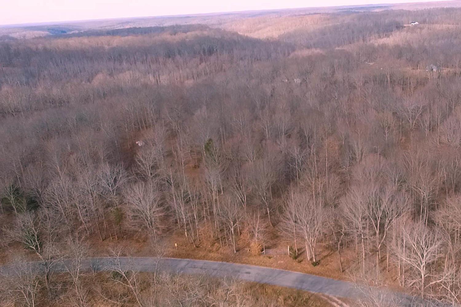 3862 Chestnut Ridge Road Santa Fe, TN 38482 - Photo 2 of 15 a view of a dry yard with green space