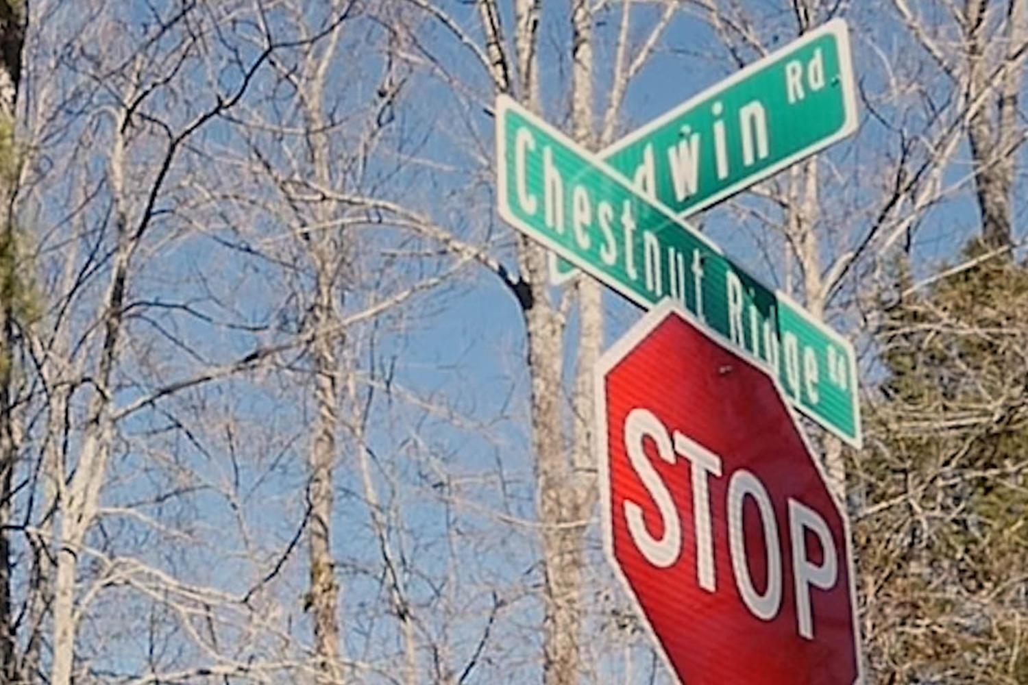 3862 Chestnut Ridge Road Santa Fe, TN 38482 - Photo 3 of 15 a street sign on a pole