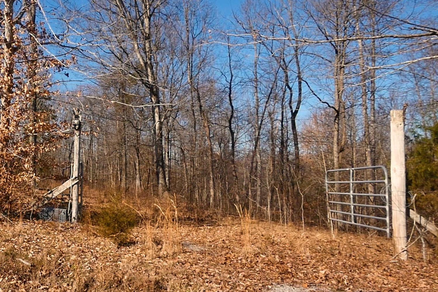3862 Chestnut Ridge Road Santa Fe, TN 38482 - Photo 5 of 15 a backyard of a house with lots of green space and a chair