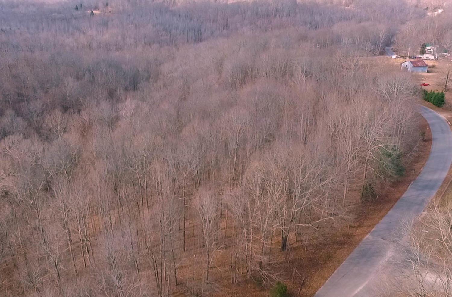 3862 Chestnut Ridge Road Santa Fe, TN 38482 - Photo 8 of 15 a view of a dry yard