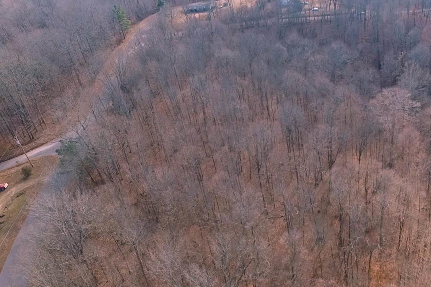 3862 Chestnut Ridge Road Santa Fe, TN 38482 - Photo 9 of 15 a view of a dry yard
