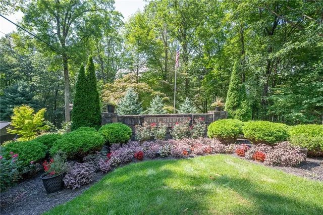 a view of a garden with plants and large trees