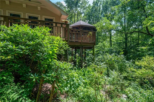 a view of a backyard with plants