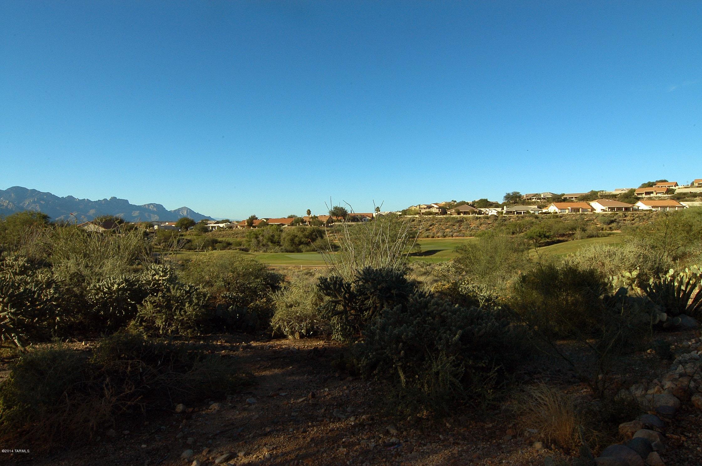 65717 East Desert Rise Drive Tucson, AZ 85739 - Photo 3 of 40