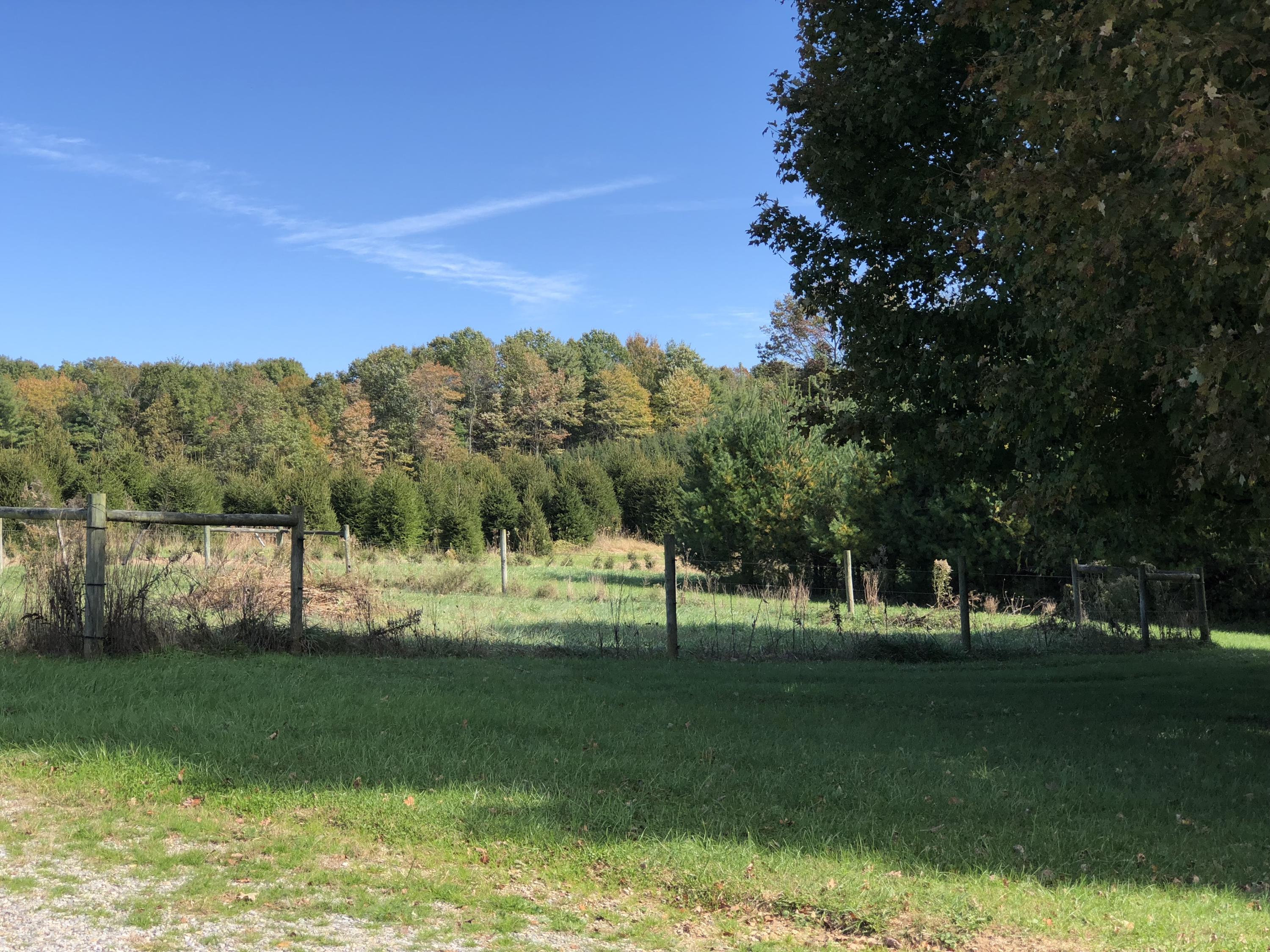 643 Shady Grove Road Northwest Willis, VA 24380 - Photo 31 of 51 Shady Grove-35