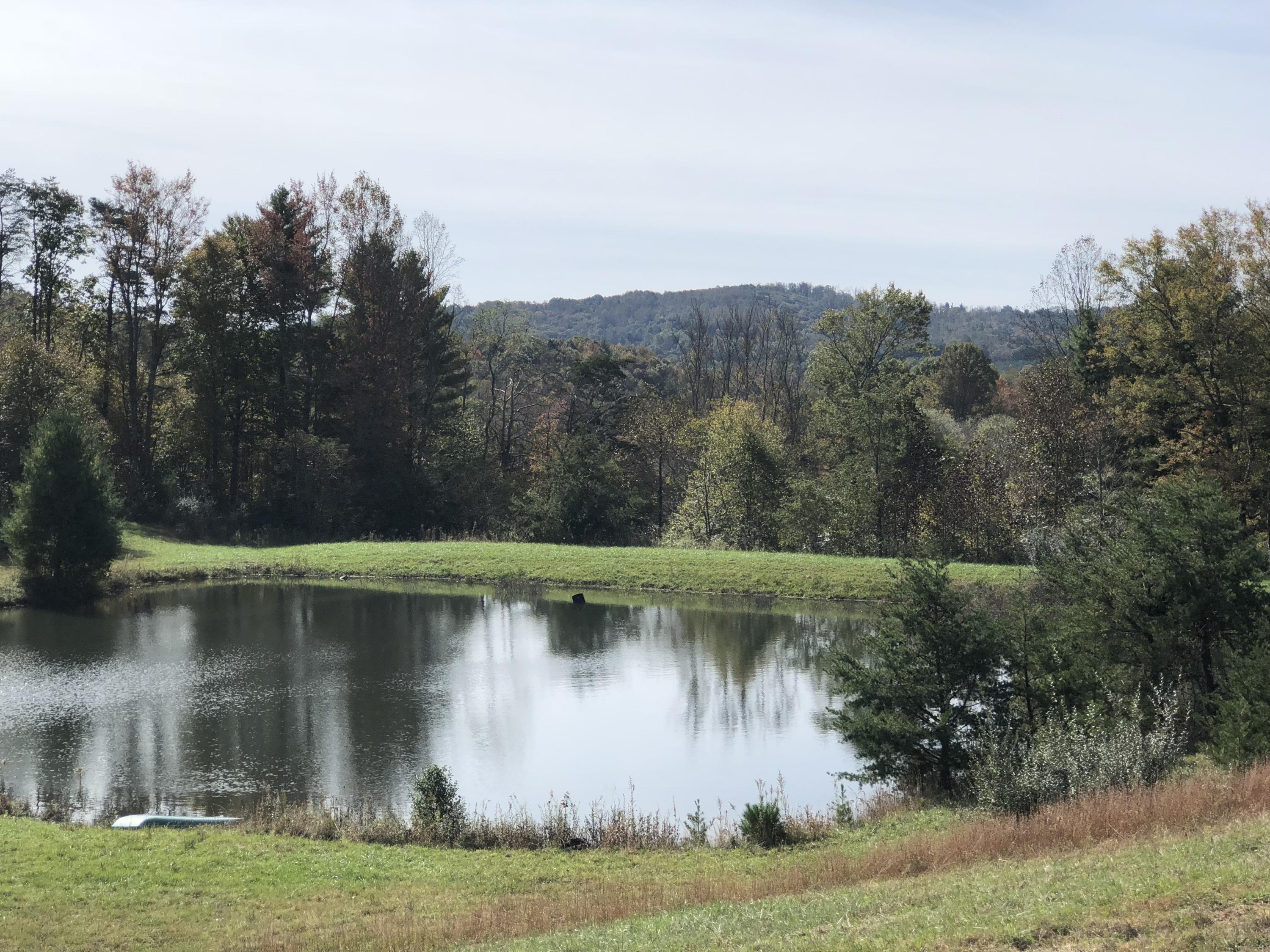 643 Shady Grove Road Northwest Willis, VA 24380 - Photo 5 of 51 Shady Grove-06