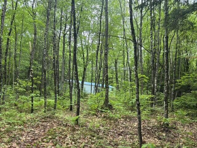 68 George Thomas Road New Sharon, ME 04955 - Photo 11 of 14 new sharon 8