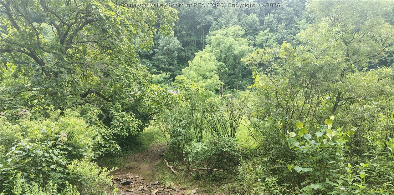 1341 Mulberry Fork Road Robson, WV 25173 - Photo 8 of 18 Gallery Image 8
