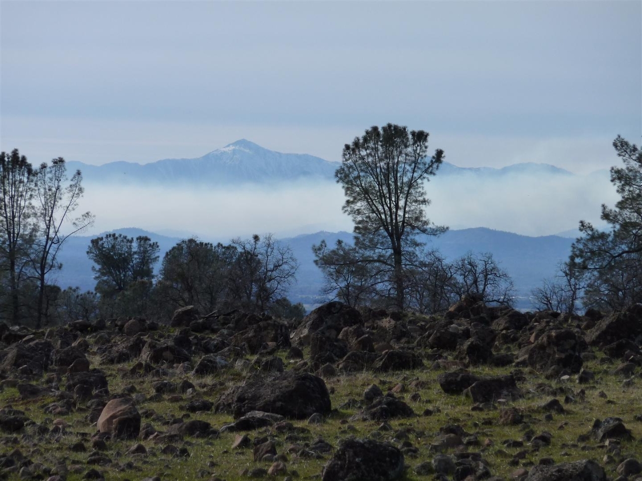 40-acres Campo Dios Road Shingletown, CA 96088 - Photo 11 of 19 P1000119