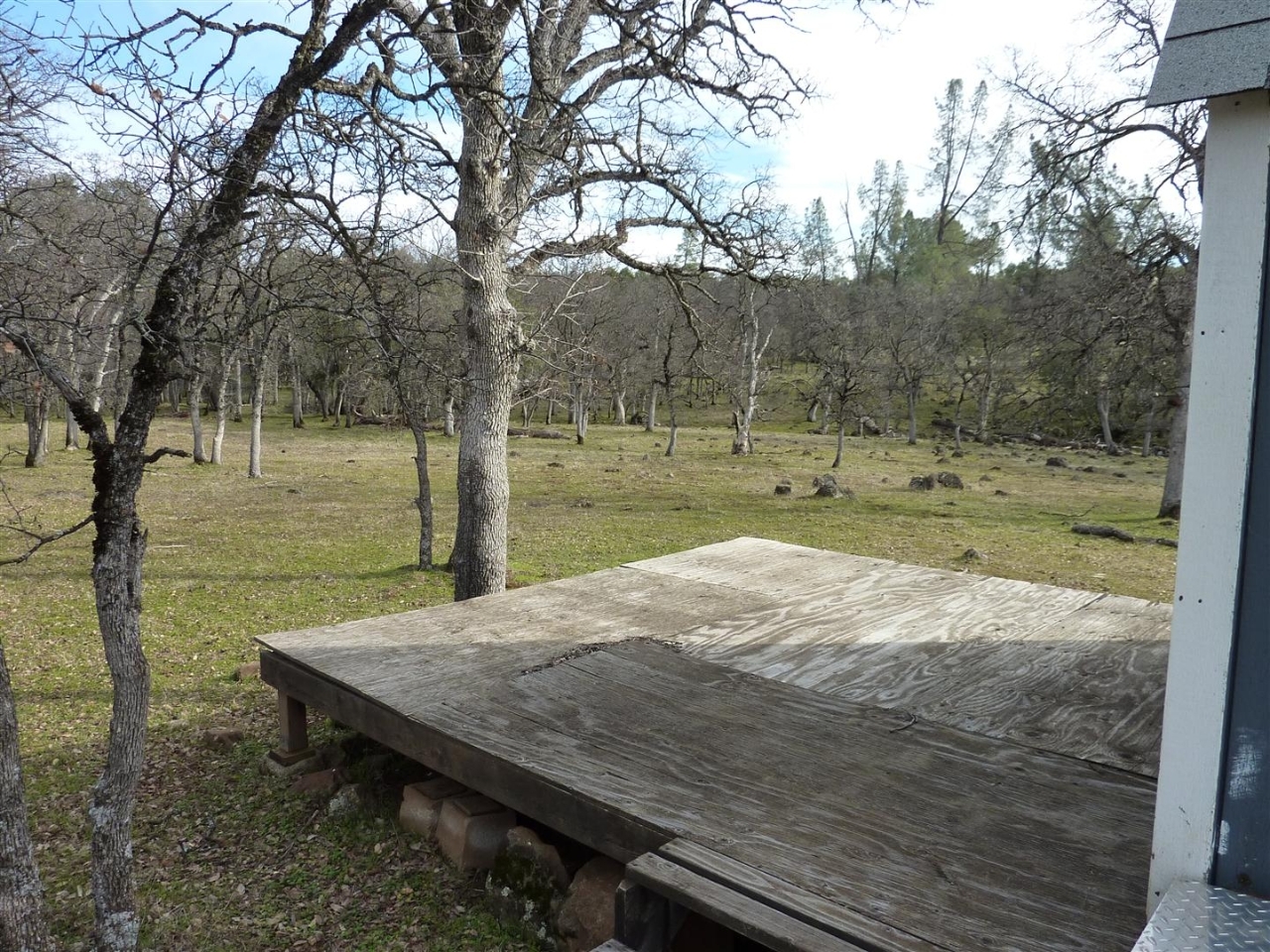 40-acres Campo Dios Road Shingletown, CA 96088 - Photo 12 of 19 P1000121