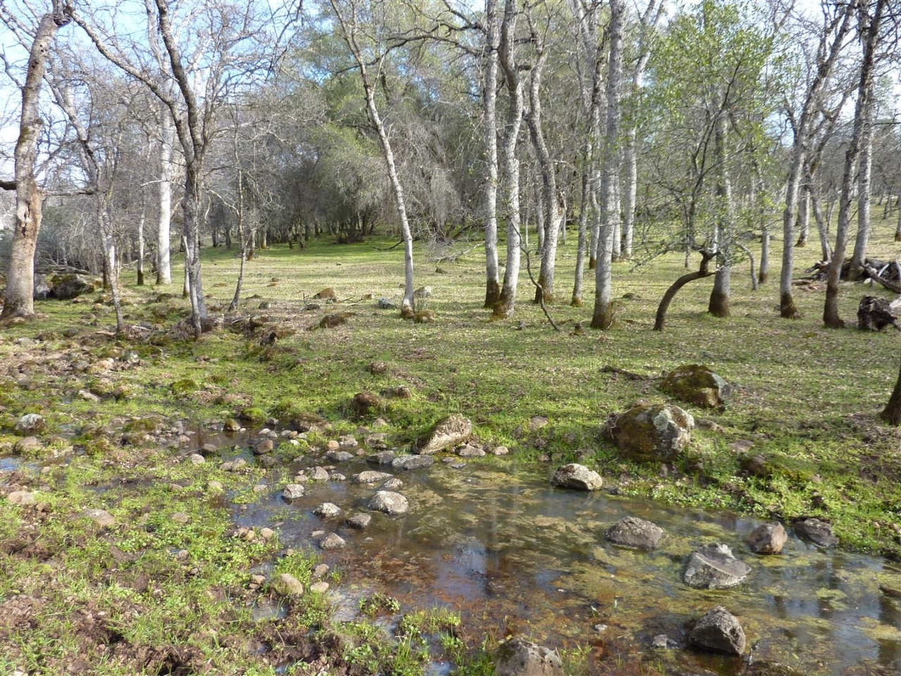 40-acres Campo Dios Road Shingletown, CA 96088 - Photo 15 of 19 P1000134