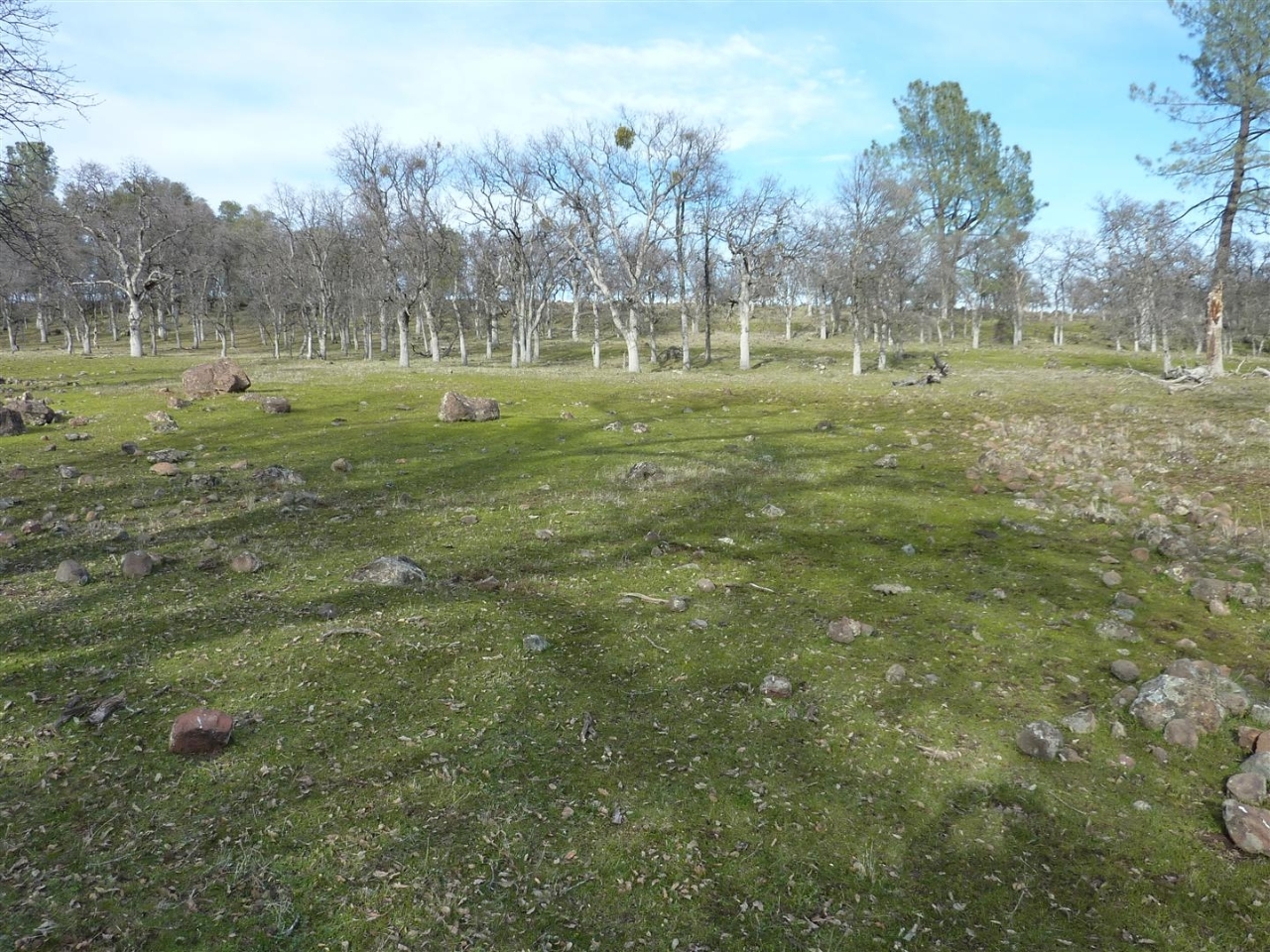 40-acres Campo Dios Road Shingletown, CA 96088 - Photo 16 of 19 P1000136
