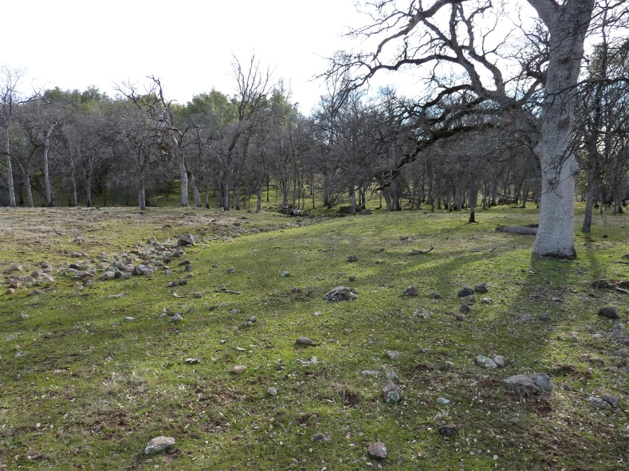 40-acres Campo Dios Road Shingletown, CA 96088 - Photo 18 of 19 P1000138