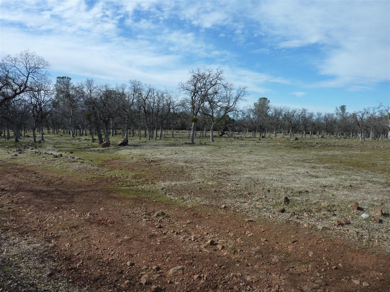 40-acres Campo Dios Road Shingletown, CA 96088 - Photo 5 of 19 P1000107