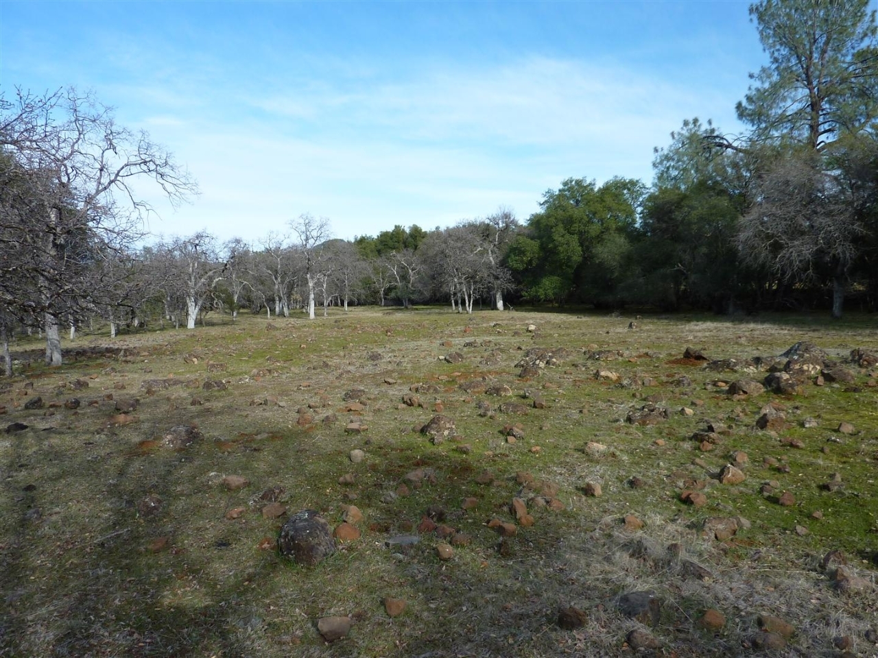 40-acres Campo Dios Road Shingletown, CA 96088 - Photo 6 of 19 P1000111
