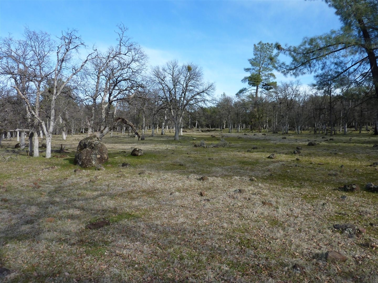 40-acres Campo Dios Road Shingletown, CA 96088 - Photo 7 of 19 P1000112