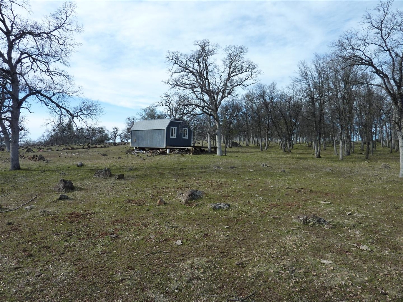 40-acres Campo Dios Road Shingletown, CA 96088 - Photo 9 of 19 P1000117