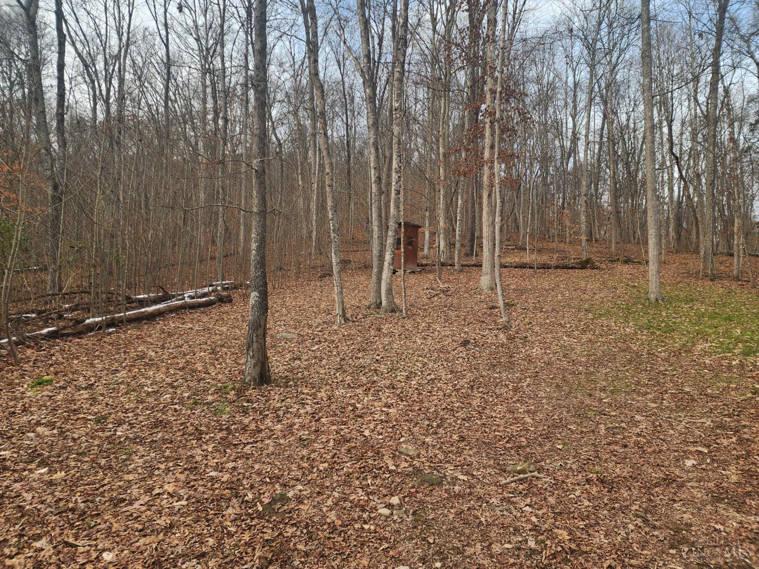 4655 Grassy Fork Road Peebles, OH 45660 - Photo 9 of 30