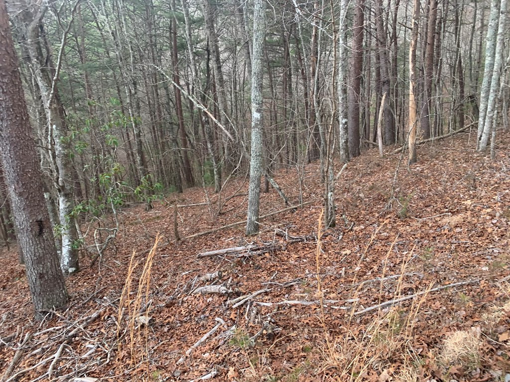 Lot 20 Wolf Ridge Lane Murphy, NC 28906 - Photo 18 of 27