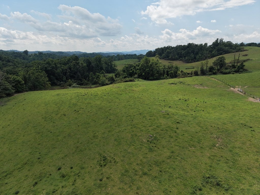 0 Old Eleven Road Marion, VA 24354 - Photo 12 of 29 Gallery Image 12