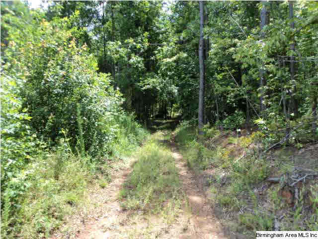 12 County Road, Unit 55 Heflin, AL 36264 - Photo 8 of 10