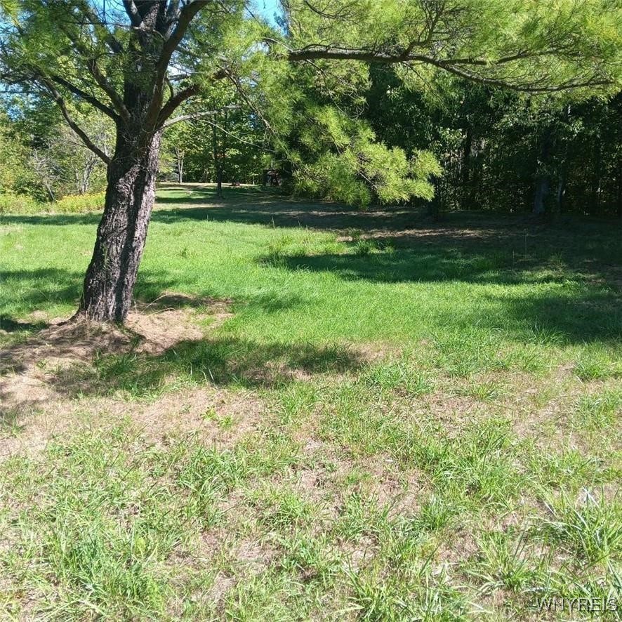 11540 Bolton Road Yorkshire, NY 14141 - Photo 5 of 16 view from street building is hidden