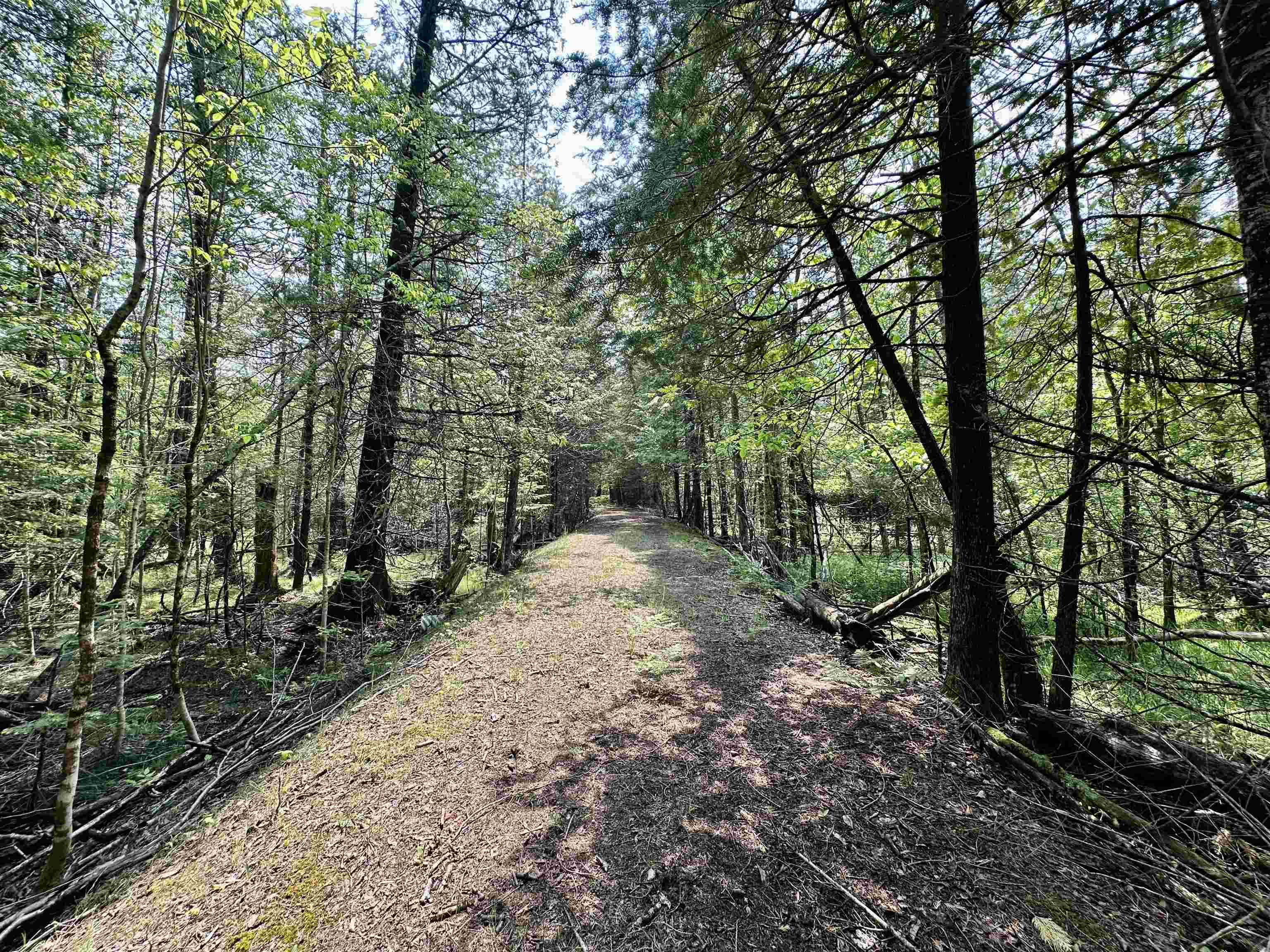 90-acres East Otto Road Suttons Bay, MI 49682 - Photo 27 of 68 Gallery Image 27