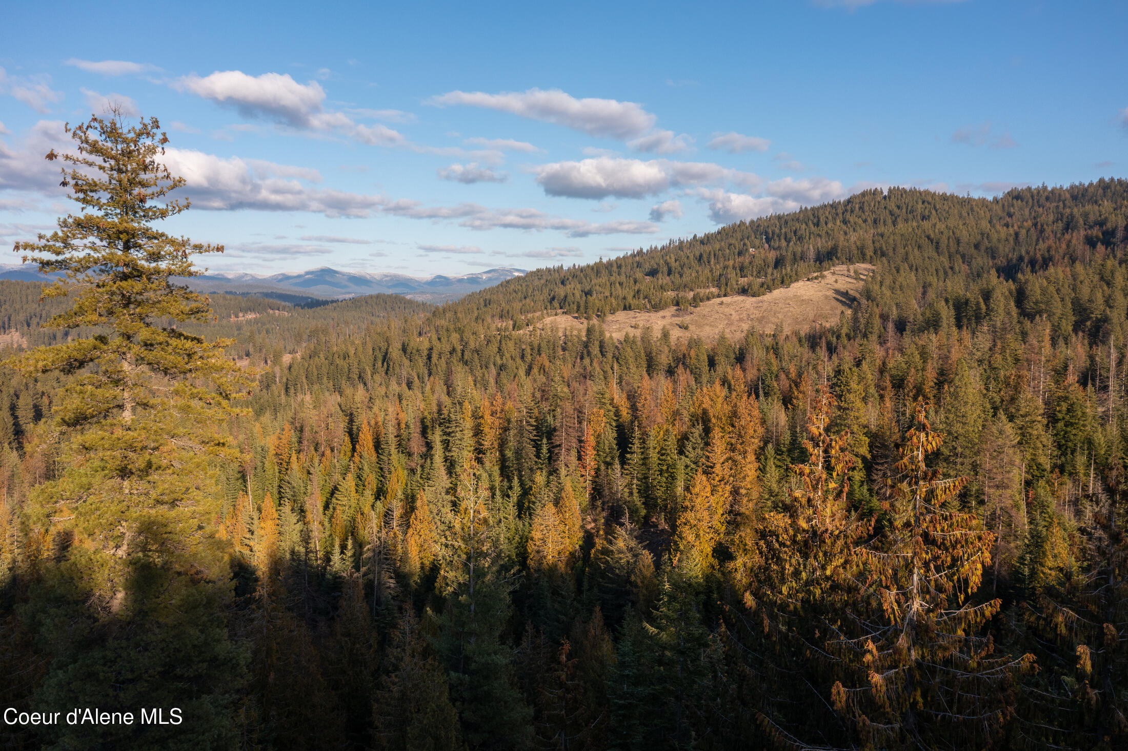 6946 East Burma Road, Unit 50AC Harrison, ID 83833 - Photo 17 of 40 DJI_0029-HDR-2